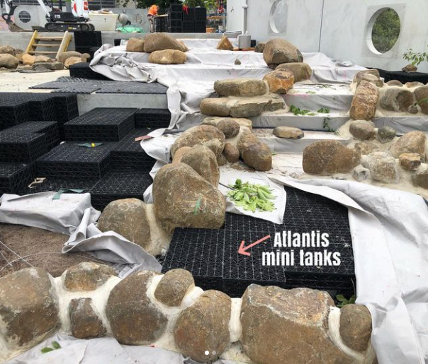 Mini Flo-Tank installed for planter void fill in a residential landscape.